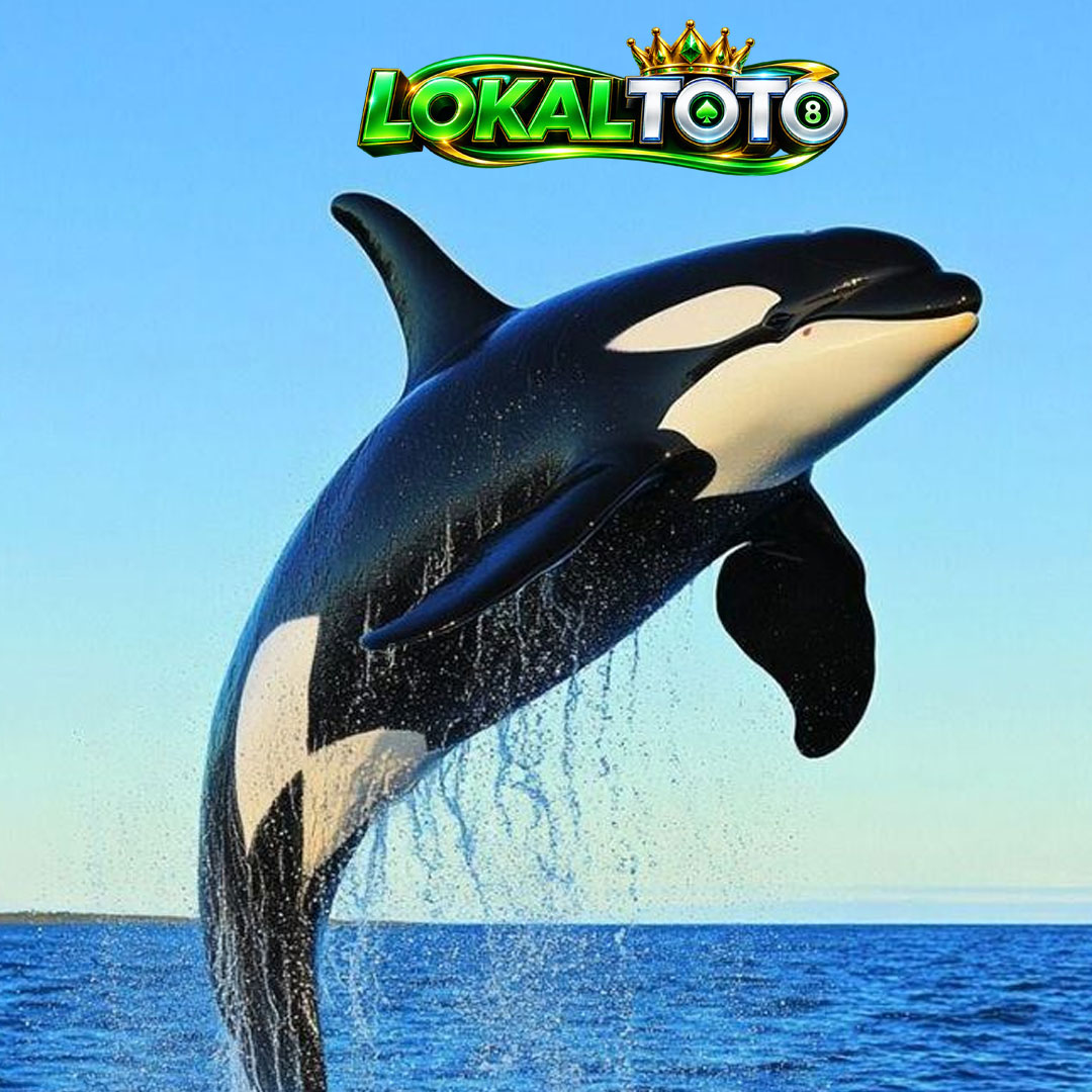 LOKALTOTO : Spesial > Racikan Situs Toto Macau Dengan Pelayanan Profesional